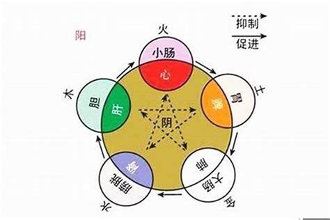 明 五行屬性|2024解析：明的五行屬性